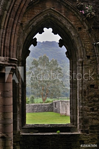 Bild på Tintern Abbey